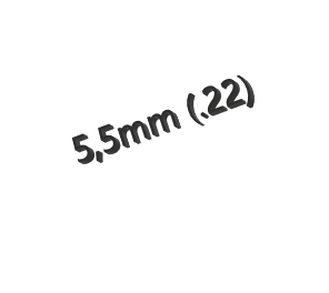 JSB Kaliber 5,5mm ( .22 )
