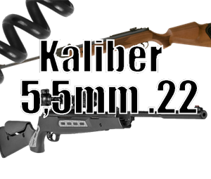 Kaliber 5,5mm .22