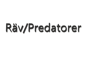 Lockpipa Räv/Predatorer