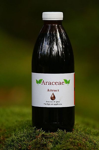 Araceaes Jakttjära, Lockmedel för Vildsvin & Björn - Bild 2