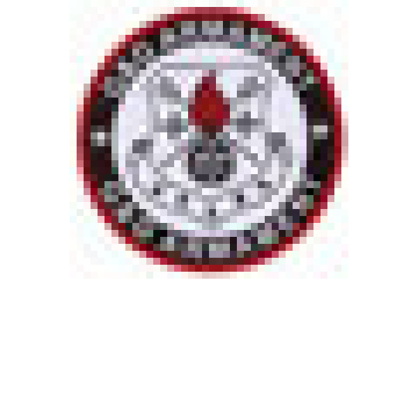 G&G M16A4 (GR16 R4) - Bild 2