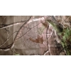 T-Shirt Realtree APG Kamouflage - Bild 6