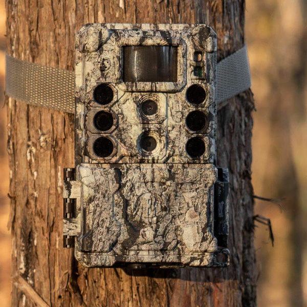 Bushnell Core DS-4K är bushnells toppmodell med dubbla sensorer och osynlig IR. Bildkvalitet i toppklass! Ej trådlös bildöverföring, lagrar endast på kort!