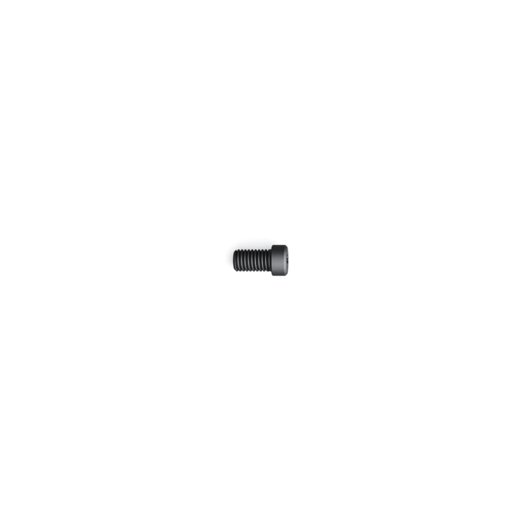Leupold Top Screw QR 30mm Ringar 8-36 x .375 Svart Reservdels skruv, Topp skruv till Leupolds 30mm QR ringar. Saluförs styckvis!